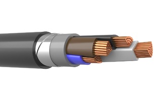ВВГнг(А)-LS 4х95,0 мс -1 (Алюр)